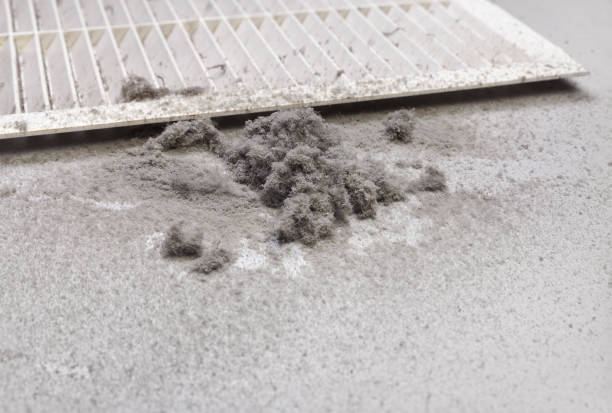 Air Duct Mold Removal in Enterprise, WV